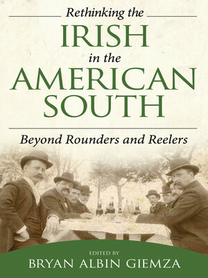 cover image of Rethinking the Irish in the American South
